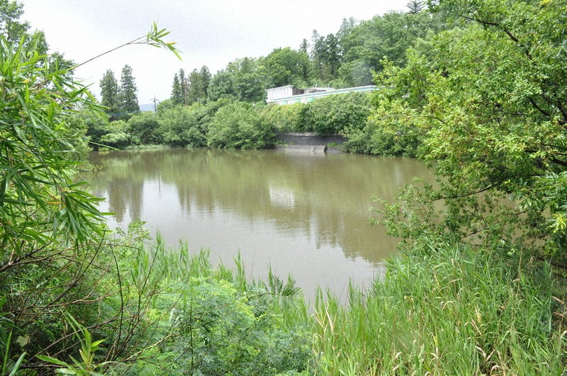 佐賀県神埼市・福岡県久留米市のため池解体|費用相場と安全な撤去方法